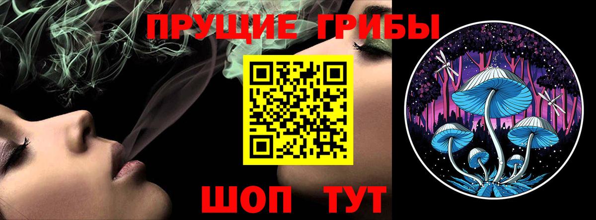Корсаков  Псилоцибиновые грибы GOLDEN TEACHER  Галлюциногенные грибы GOLDEN TEACHER  Вход с VPN 